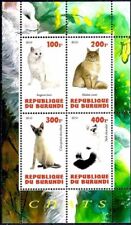 Gatti Animali Angora Maine Coon Pelo Corto York Animali Domestici m/s MNH