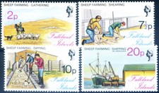 Allevamento ovini 1976.