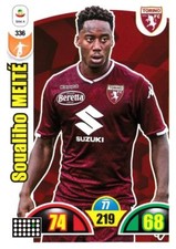 ADRENALYN CALCIATORI PANINI