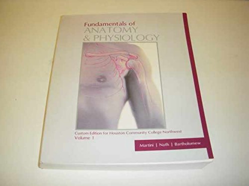 Fundamentals anatomy - of,