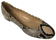 Ballerina Chloe Lauren nuova