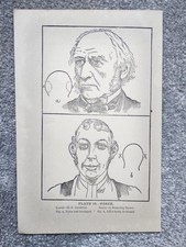 Force - Phrenology - Antique