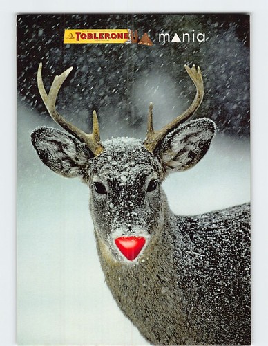 Cartolina renna con naso rosso - cartolina,