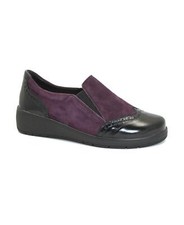 GRUNLAND NETA SC2866 prugna