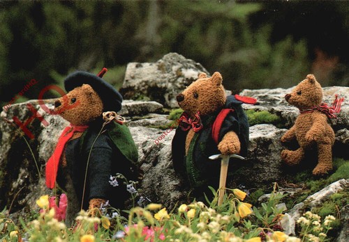 Picture postcard teddy bears - picture,