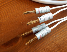 Cavo altoparlante Chord