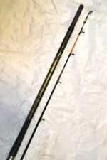 DAIWA CANNA DA SURF AD ALTE