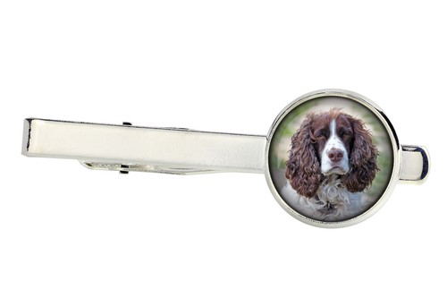 Springer spaniel inglese - springer,
