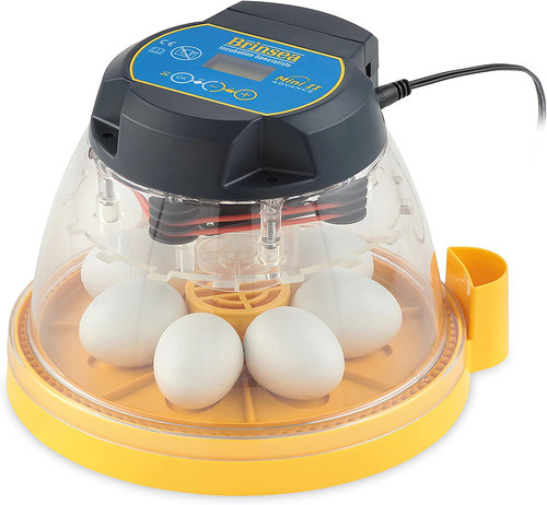 Incubatrice per uova mini - per,