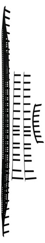 Set strisce paraurti head - set,