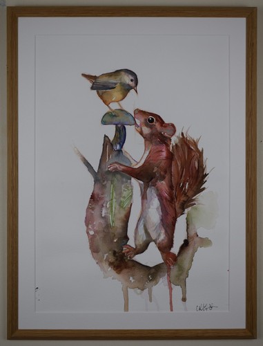 Scoiattolo scricciolo rosso - scoiattolo,