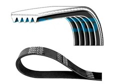 CINGHIA AUSILIARE POLY V