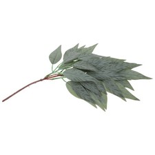  Simulazione Foglie di