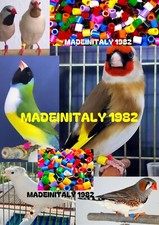 1000 anellini anelli - 🇮🇹,