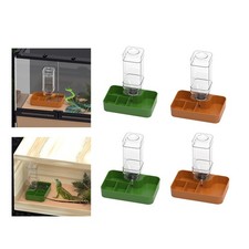 Mangiatoia per rettili