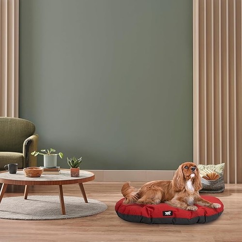 Ferplast cuccia per cani - , di