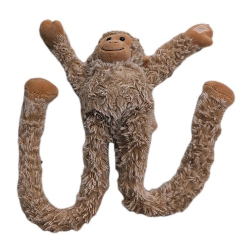 Raro disney parchi animali - raro,