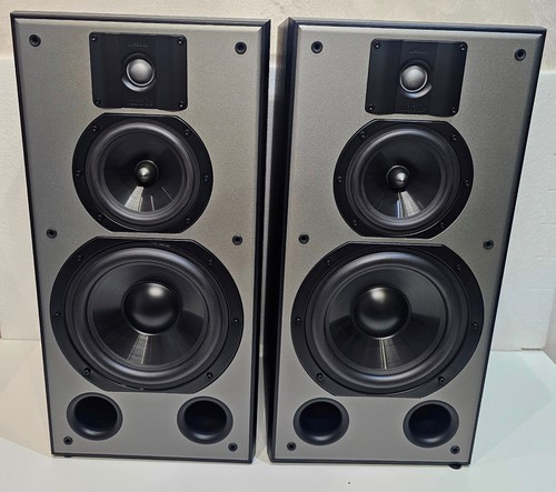 Indiana line 308 coppia - dj,