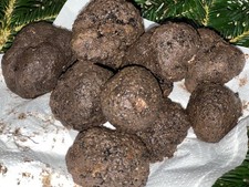 Tartufo nero uncinato - tartufo, intero