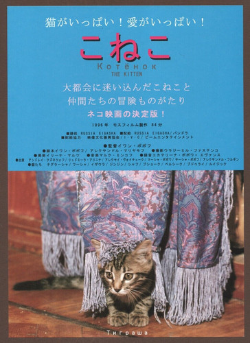 Piccolo gatto 1996 - il,
