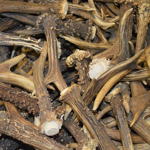 1kg corna capriolo - di,