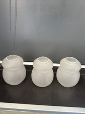 Lotto Di 3 Tulipani Antiche IN