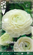 BULBI AUTUNNALI RANUNCOLO