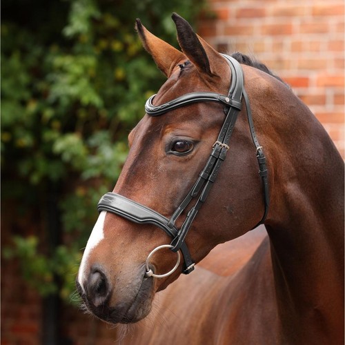 Shires velociti lusso opus - shires,