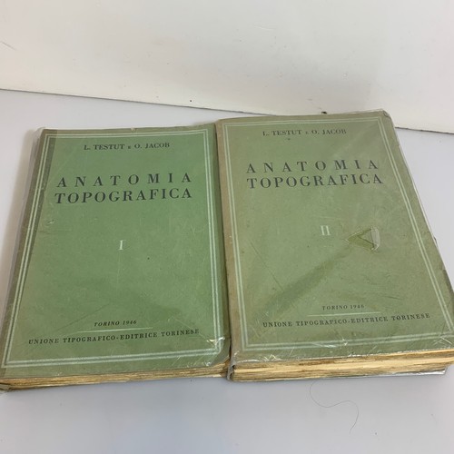 Anatomia topografica due - topografica,
