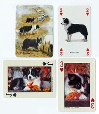 BORDER COLLIE BORDER COLLIE