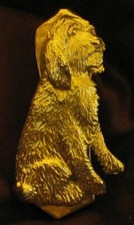 SPINONE ITALIANO, SPINONE