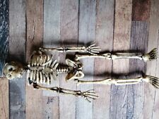 SCHELETRO originale Per