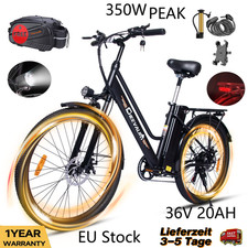 Bicicletta elettrica 250W