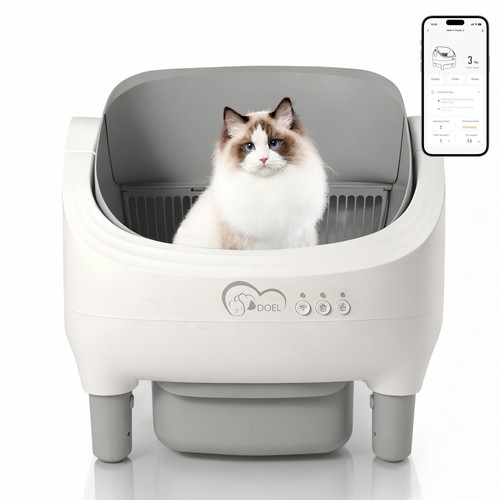 Doel toilette per gatti - toilette,