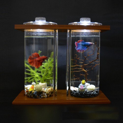 Betta fish tank vetro - in,