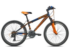 Bici ragazzo 24" MTB TORPADO