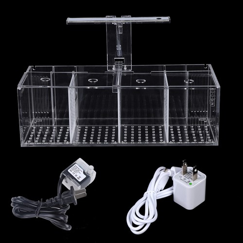 Acquaponic fish tank griglie - fish,