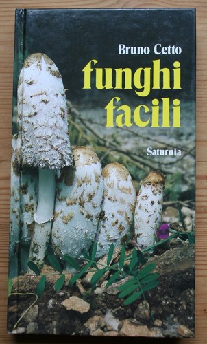Funghi facili bruno cetto - funghi,