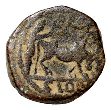Petra Elagabalus AE20, scena