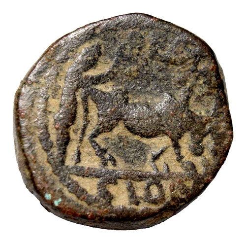 Petra elagabalus ae20 scena - petra,