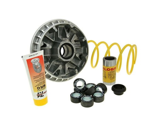 Variatore malossi multivar - variatore,