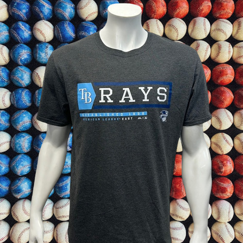 Shirt tampa bay rays mlb - tampa,