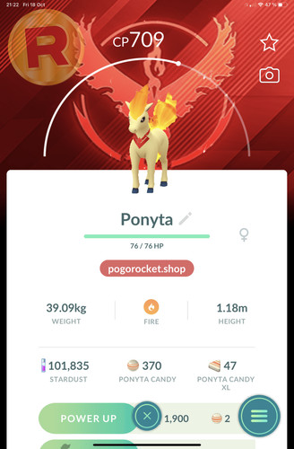 Candela ponyta valor - ponyta,