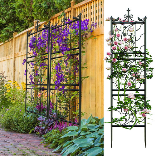 Grande balcone giardino per - balcone, da