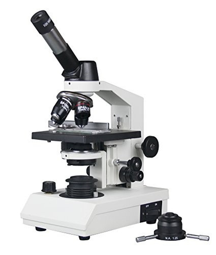 Radical 2500x microscopio - radical,