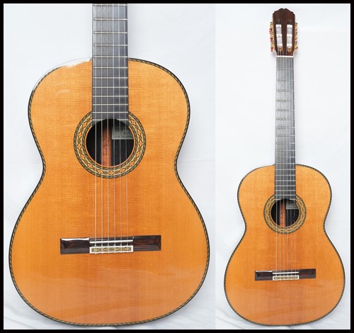 Takamine chitarra - takamine, n.15