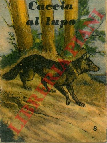 Libri minuscoli caccia al - libri,