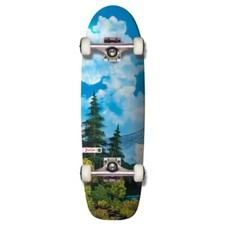 Skateboard Cruiser Completo
