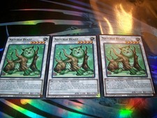 3x Naturia Beast 1° Edizione