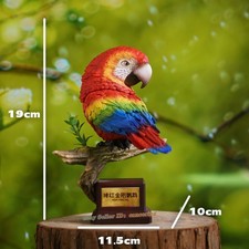 Animal bangbang What Bird